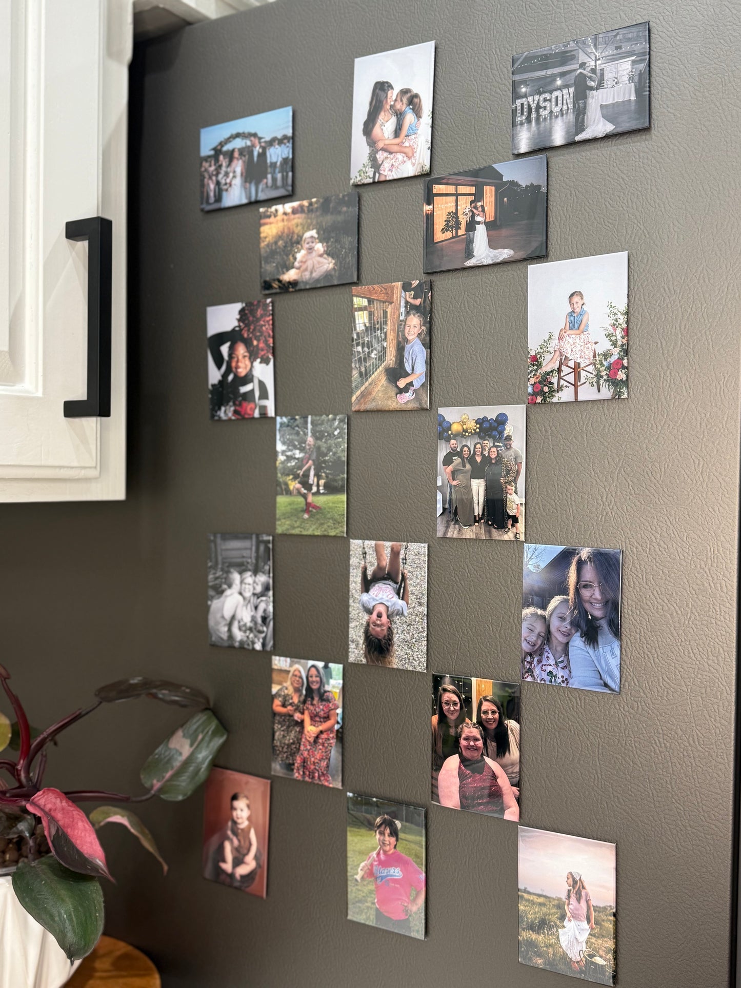 The Rose-2.5" x 3.5" Pressed Photo Magnet-Set of 5