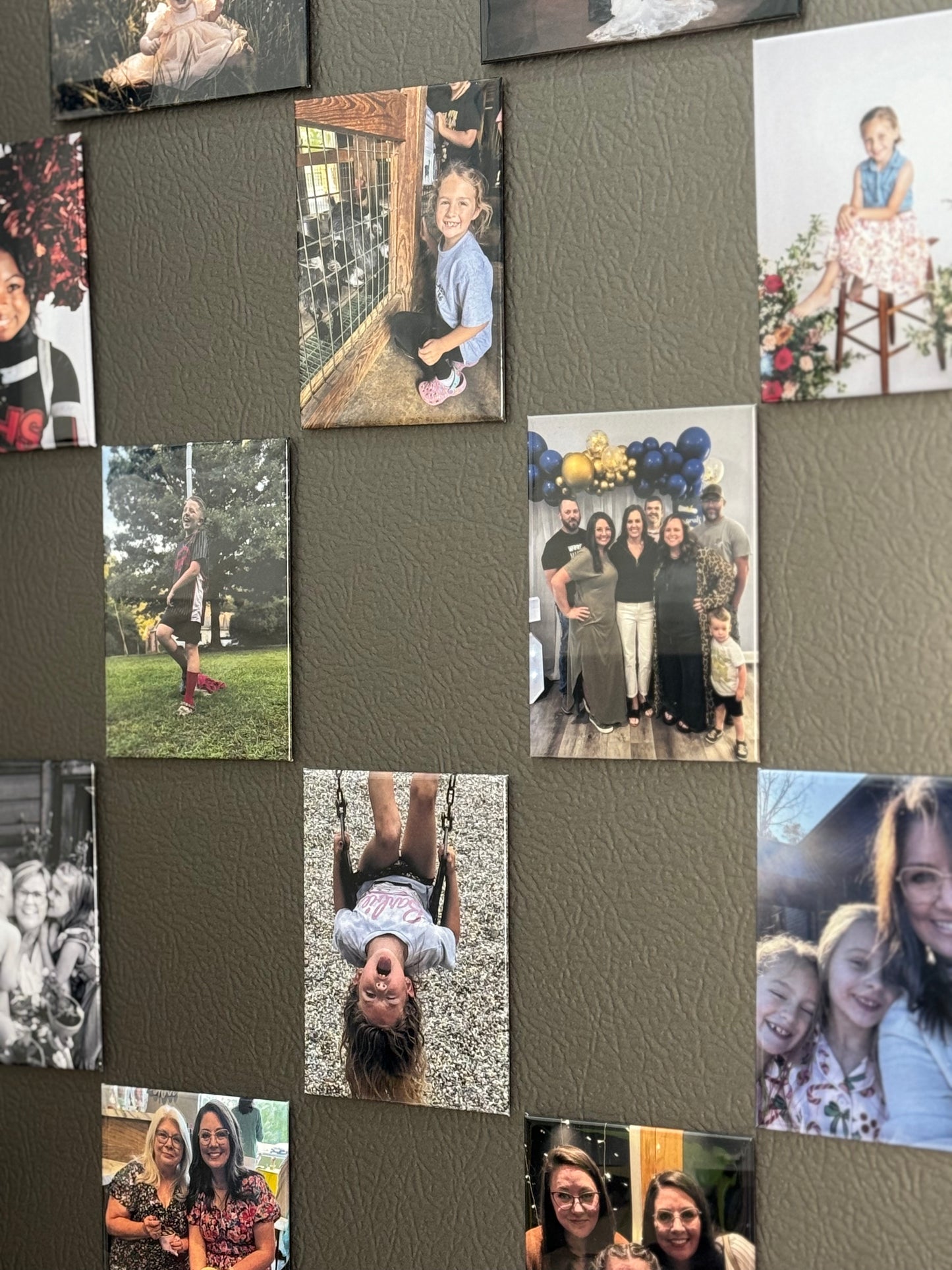 The Rose-2.5" x 3.5" Pressed Photo Magnet-Set of 5